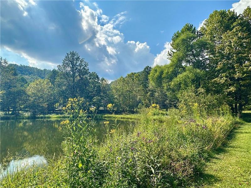 Natural landscape and outdoor views near in Clarkesville (Image 15). Natural landscape and outdoor views near in Clarkesville (Image 15).