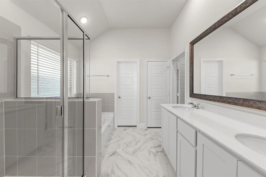 20. 139 Whistling Duck - Bath