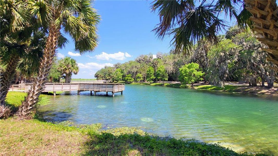 Natural landscape and outdoor views near in Debary (Image 37). Natural landscape and outdoor views near in Debary (Image 37).