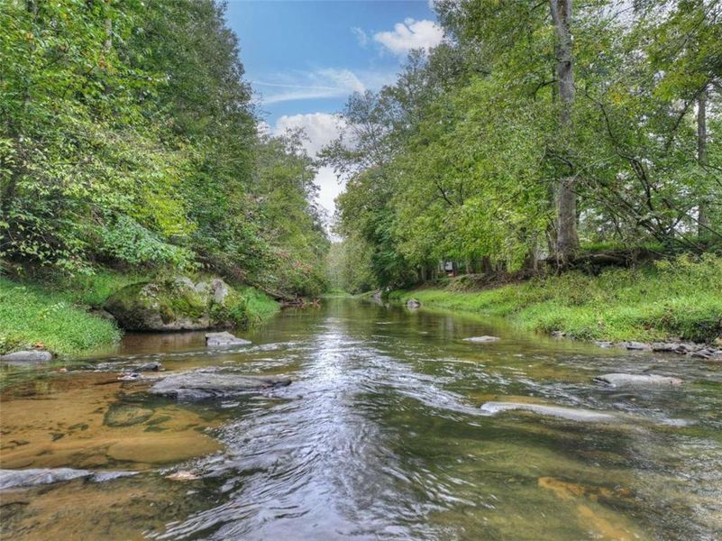 Natural landscape and outdoor views near  in Ellijay (Image 45).
