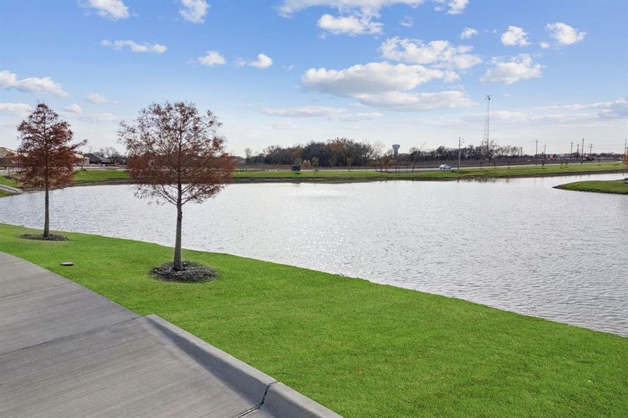 Natural landscape and outdoor views near  in Anna (Image 38).