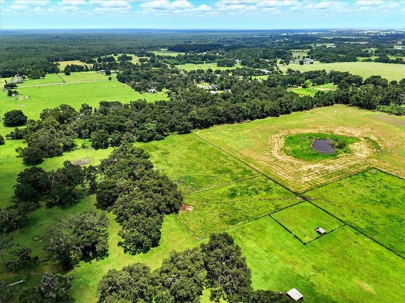 Natural landscape and outdoor views near  in Dade City (Image 20).