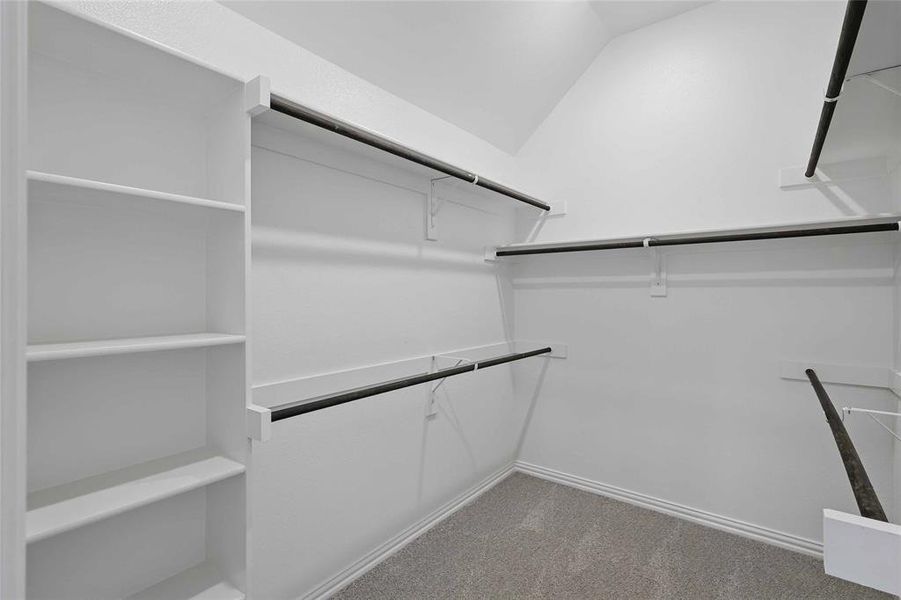 Walk in closet featuring carpet flooring Walk in closet featuring carpet flooring