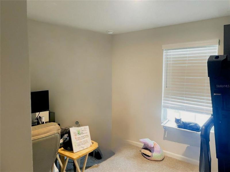 Furnished interior view inside a new home in , New Port Richey (Image 16). Furnished interior view inside a new home in , New Port Richey (Image 16).