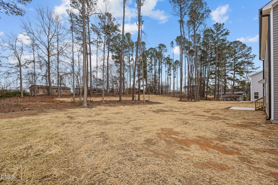 48-web-or-mls-IMG_7025