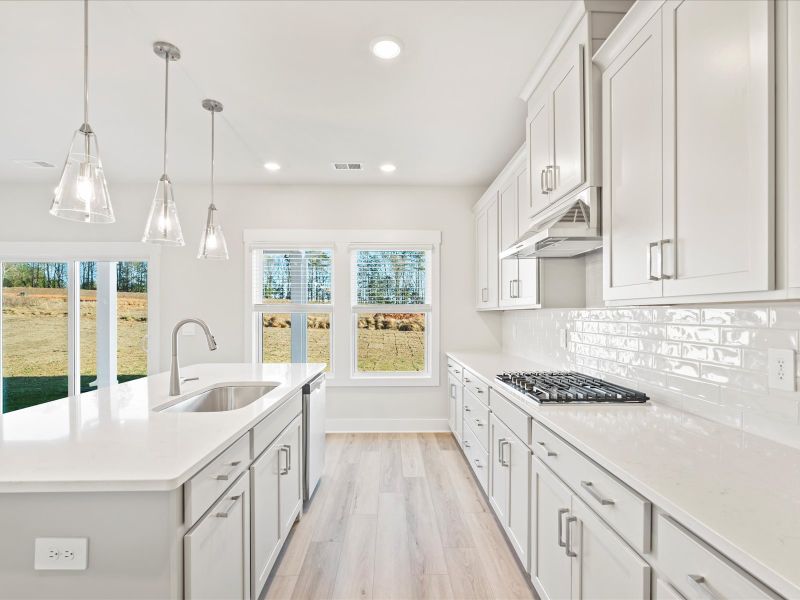 Welcome to the Dakota floorplan at Cedar Shoals - Signature Collection. Welcome to the Dakota floorplan at Cedar Shoals - Signature Collection.