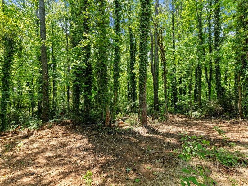 Natural landscape and outdoor views near  in Gainesville (Image 31).