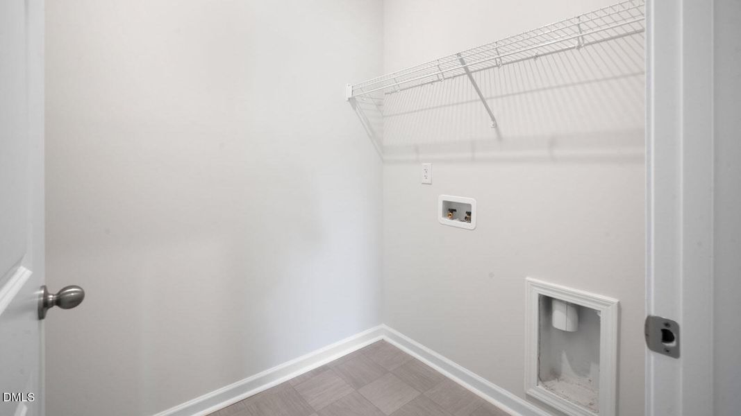 75-tobacco-woods-031