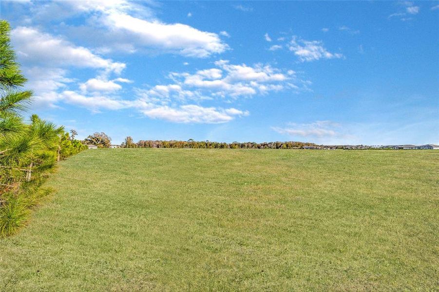 Natural landscape and outdoor views near  in Ocala (Image 47).