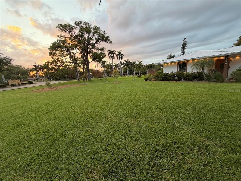 Natural landscape and outdoor views near  in Bradenton (Image 49).