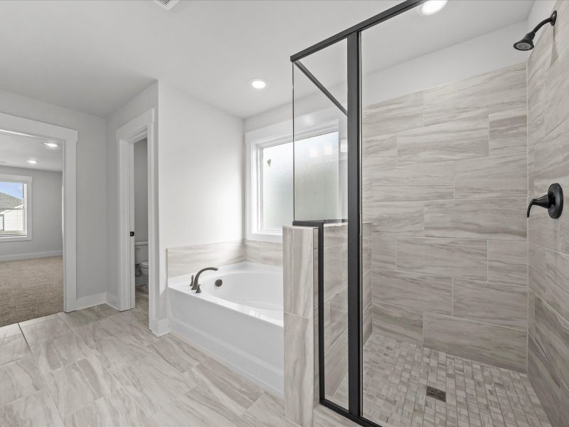 Furnished interior view inside a new home in Cedar Shoals - Signature Collection, Piedmont (Image 6).