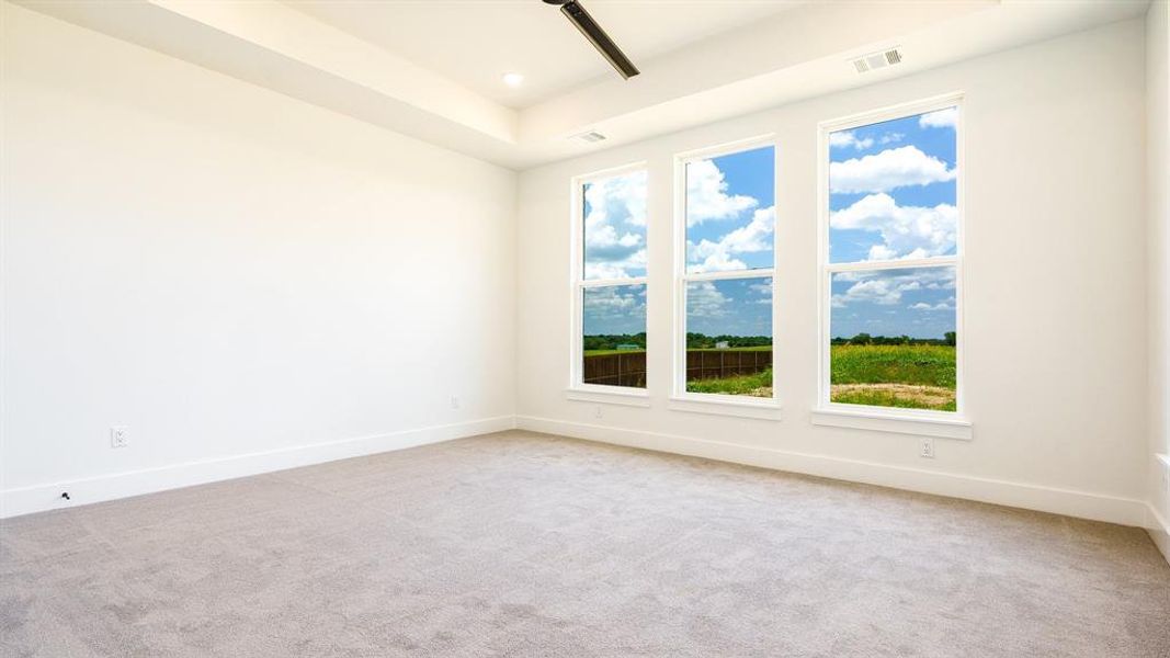 Spare room featuring light carpet and plenty of natural light