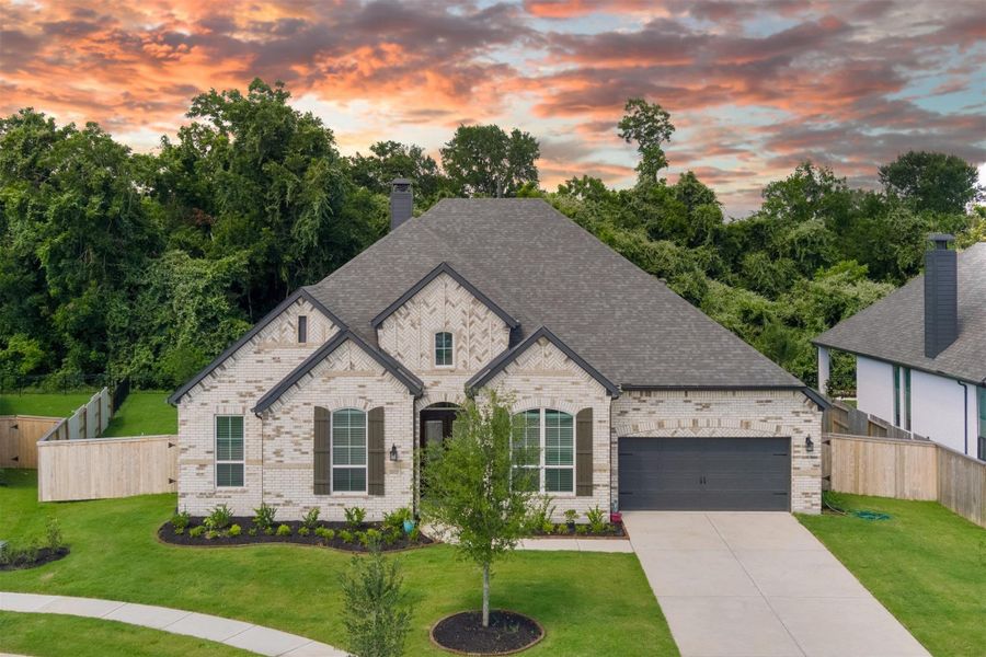 SPRING TREE LINE PICTURE