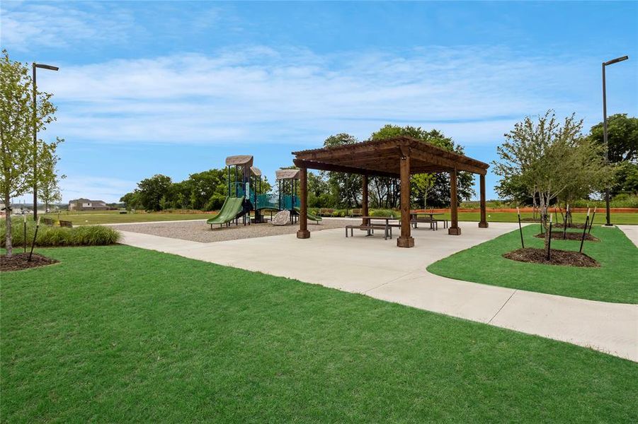 Community amenities in Anna Ranch, Anna (Image 38).