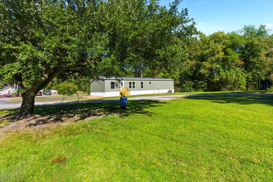 Natural landscape and outdoor views near  in Goose Creek (Image 27).