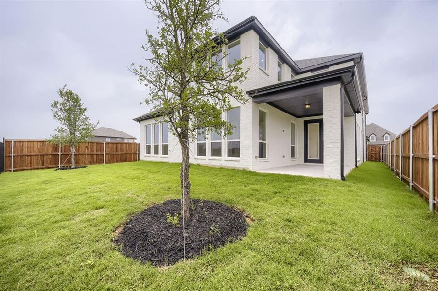 Spacious backyard featuring a covered patio, multiple large windows, a newly installed wood fence, and two young trees