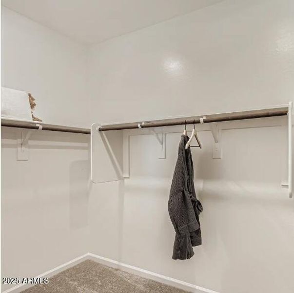 Owners Walk in Closet Owners Walk in Closet