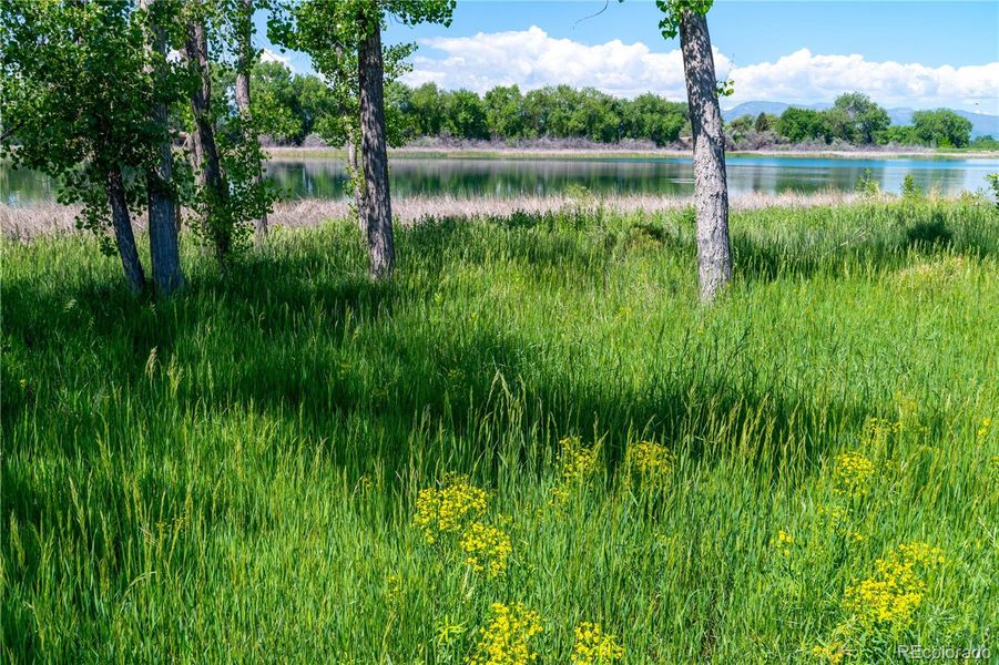 Natural landscape and outdoor views near Villa Collection in Fort Collins (Image 21). Natural landscape and outdoor views near Villa Collection in Fort Collins (Image 21).
