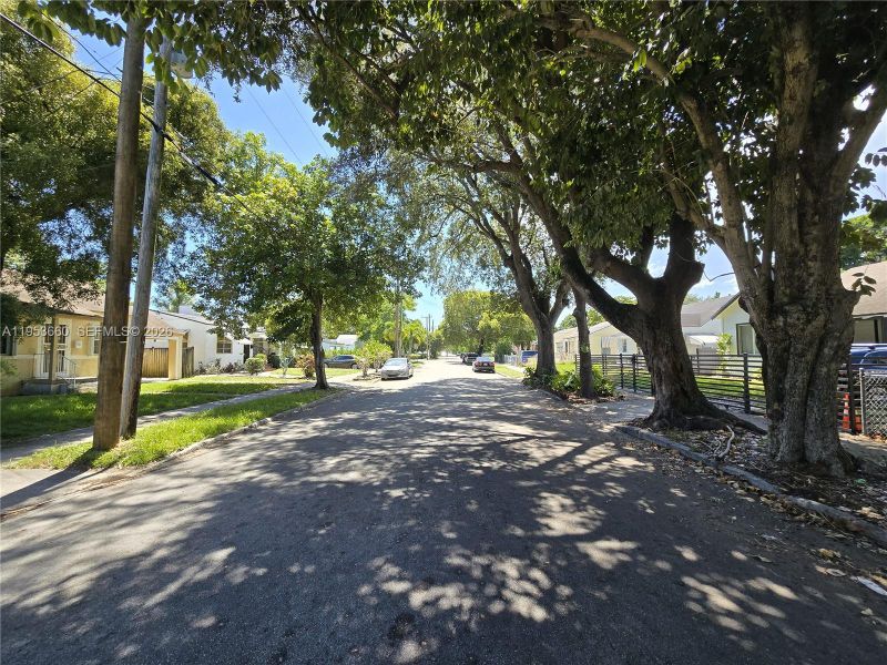 Natural landscape and outdoor views near  in Miami (Image 43).