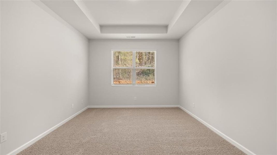 Spacious, unfurnished interior of a new home in Cedar Ridge - Locust Grove Station, Locust Grove (Image 19).