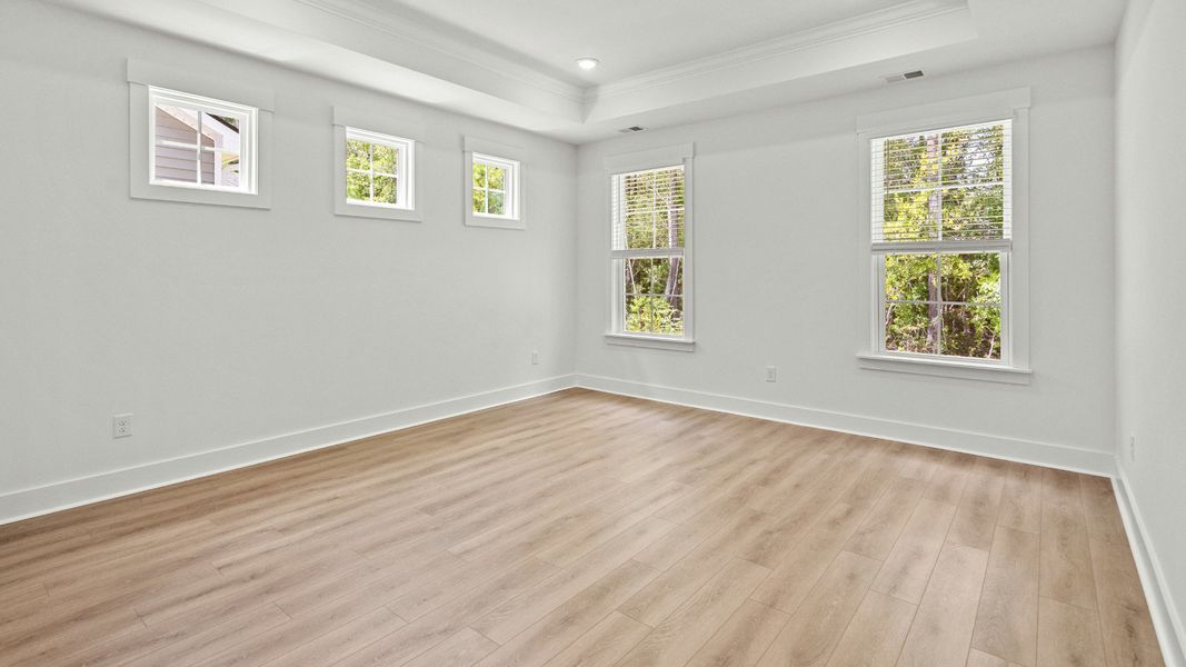 Owner's Bedroom with Trayed Ceiling