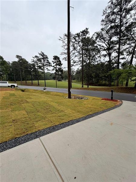 Natural landscape and outdoor views near  in Cartersville (Image 45).