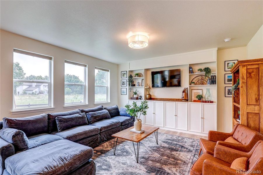 Living Room features a built-in entertainment cabinet with custom hardware Living Room features a built-in entertainment cabinet with custom hardware