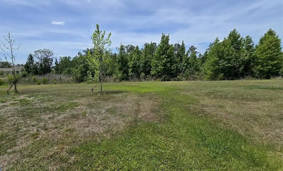 Natural landscape and outdoor views near in Lakeland (Image 22). Natural landscape and outdoor views near in Lakeland (Image 22).