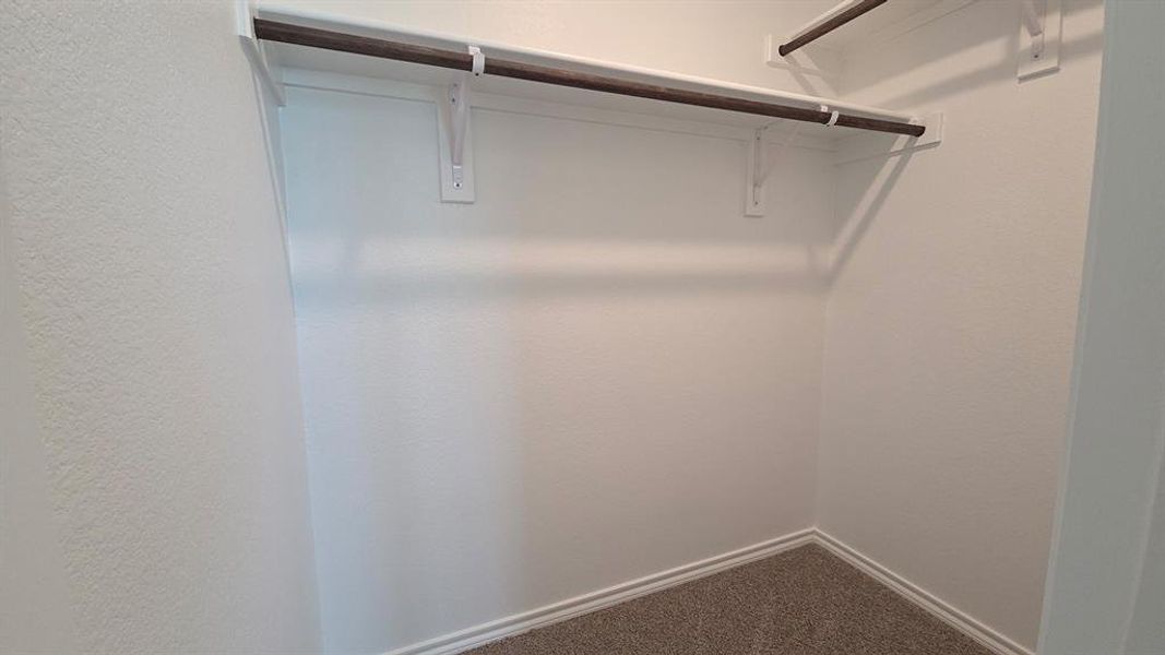 Walk-in closet featuring white walls, white shelving, and wood-finish hanging rods