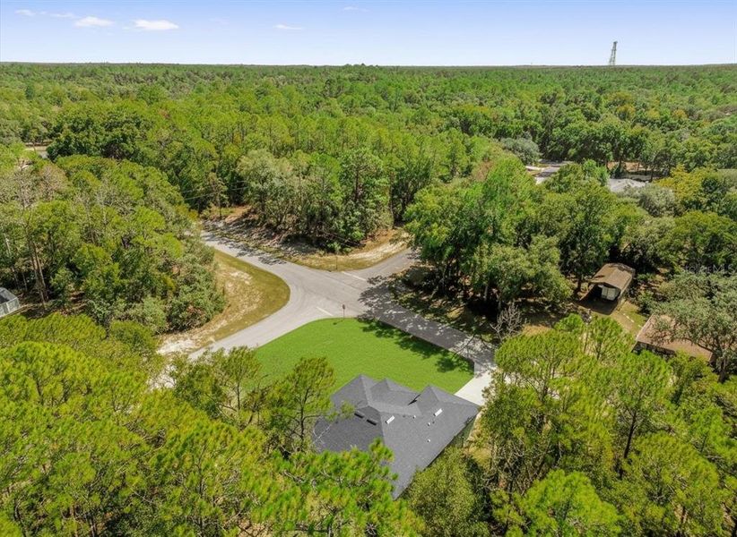 Natural landscape and outdoor views near  in Citrus Springs (Image 32).