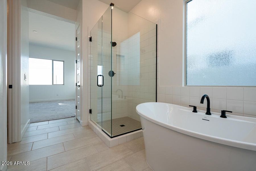 Tri Pointe Soleo 623 - Primary Bathroom