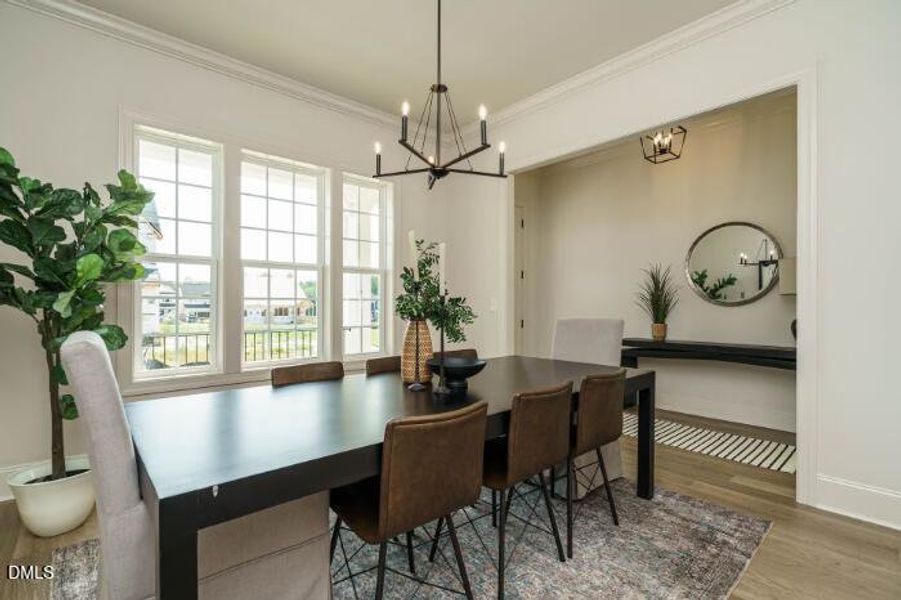 6 Example of Completed Bristol