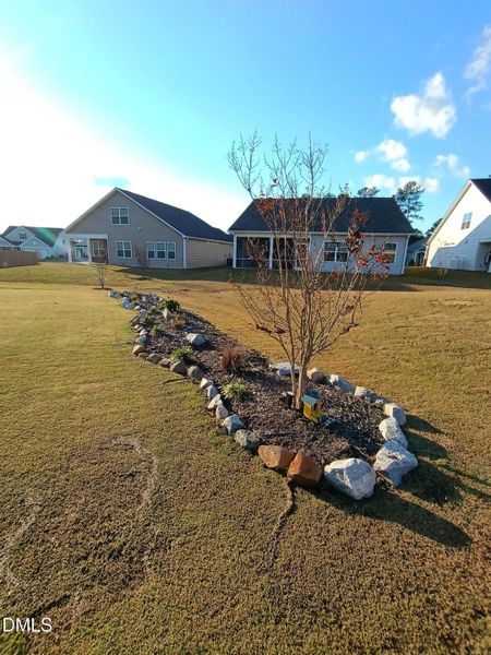 IMG_20251103_155219394