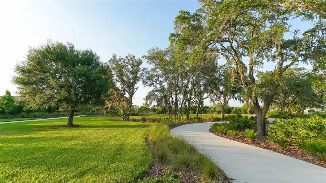 Natural landscape and outdoor views near LakeHouse Cove at Waterside in Sarasota (Image 61). Natural landscape and outdoor views near LakeHouse Cove at Waterside in Sarasota (Image 61).