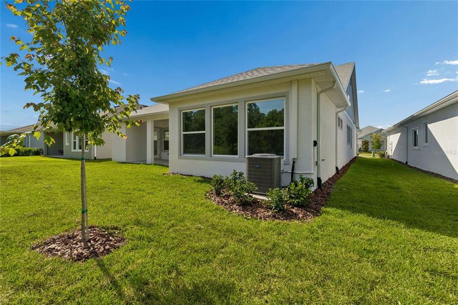 Exterior details and patio area of a home in Chapel Crossings – Classic Series, Wesley Chapel (Image 17).