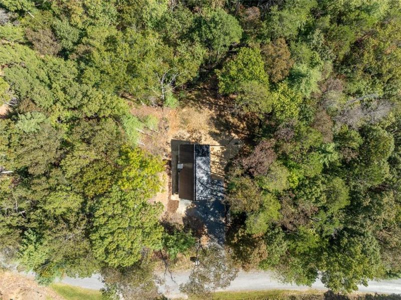 Natural landscape and outdoor views near  in Ellijay (Image 73).