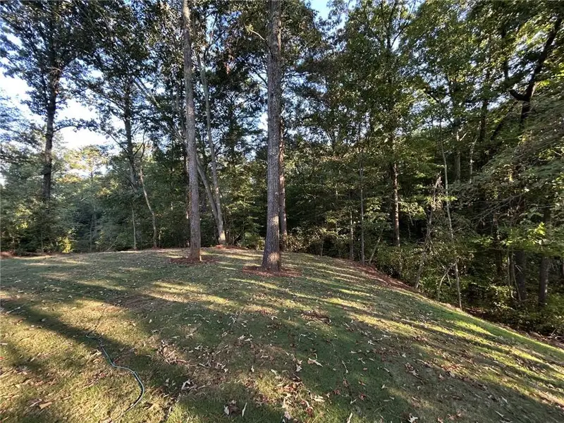 Natural landscape and outdoor views near  in Cartersville (Image 30).