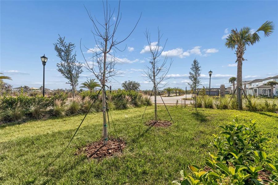 Natural landscape and outdoor views near Chapel Crossings - Garden Series in Wesley Chapel (Image 34). Natural landscape and outdoor views near Chapel Crossings - Garden Series in Wesley Chapel (Image 34).