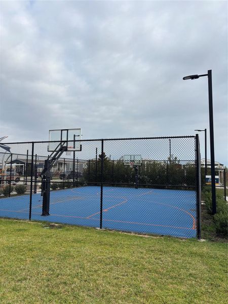 Basketball Court