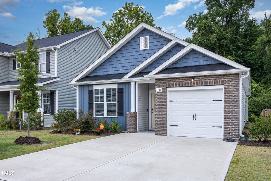 003_img_0139-edit_732 003_img_0139-edit_732