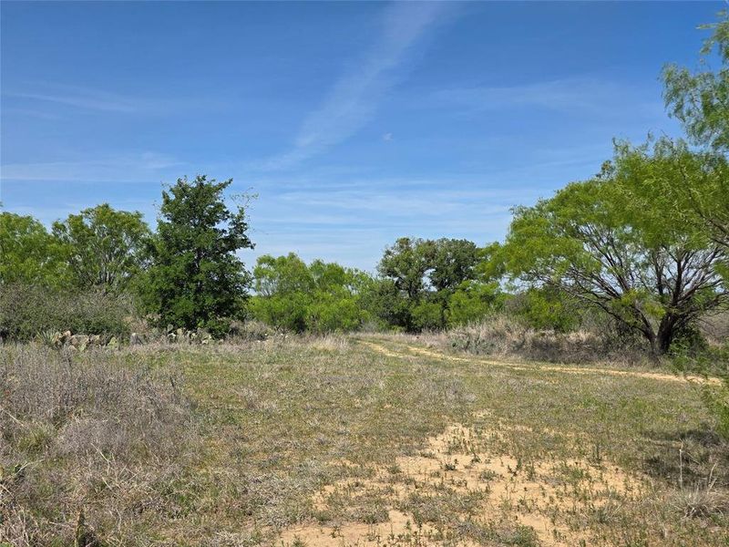 Natural landscape and outdoor views near  in San Saba (Image 28).