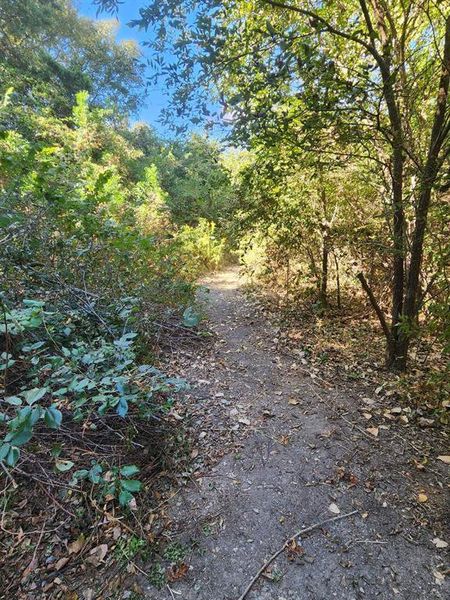Natural landscape and outdoor views near  in Ennis (Image 25).