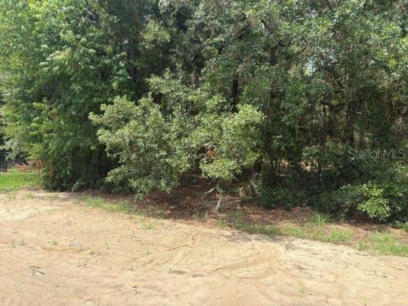 Natural landscape and outdoor views near in Dunnellon (Image 12). Natural landscape and outdoor views near in Dunnellon (Image 12).