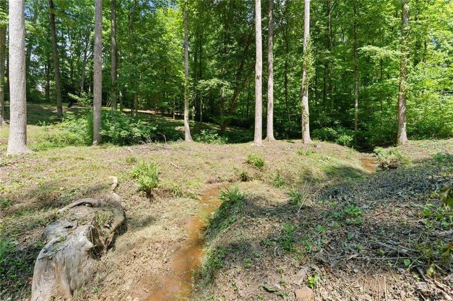 Natural landscape and outdoor views near in Dawsonville (Image 47). Natural landscape and outdoor views near in Dawsonville (Image 47).