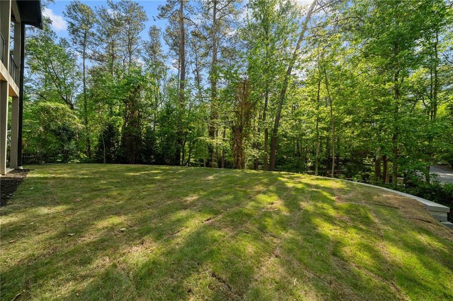 Natural landscape and outdoor views near  in Atlanta (Image 55).