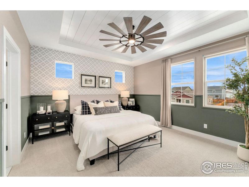 Large Primary Suite with Tray Ceilings!