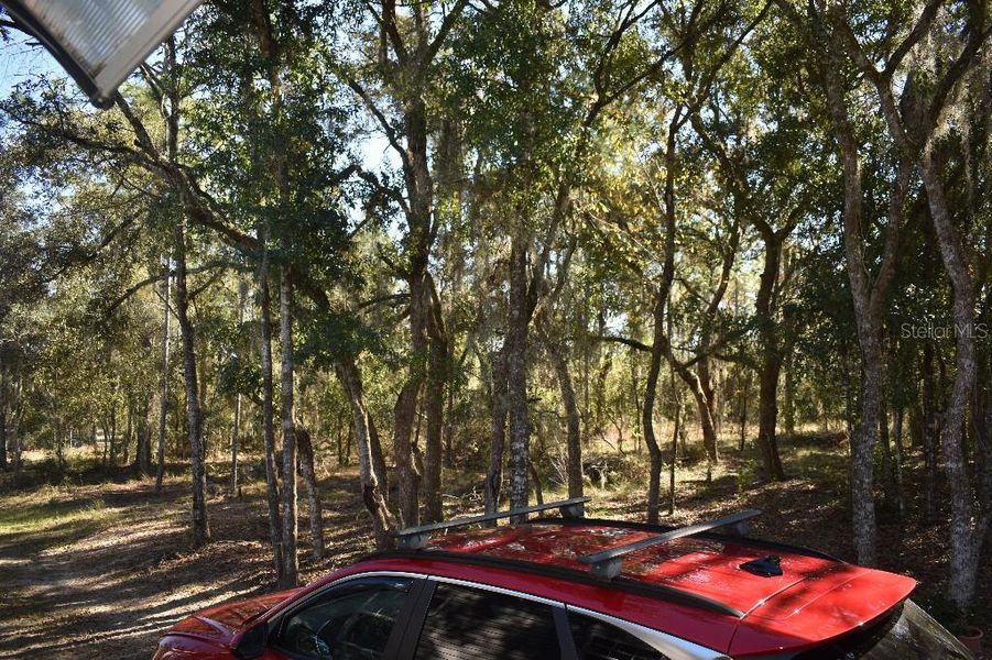 Natural landscape and outdoor views near  in Williston (Image 65).