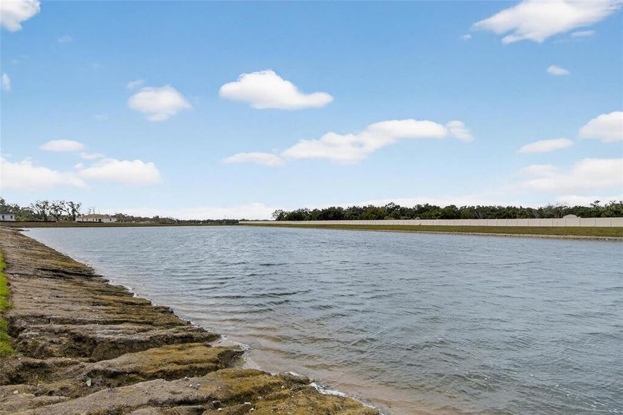 Natural landscape and outdoor views near in Palmetto (Image 33). Natural landscape and outdoor views near in Palmetto (Image 33).