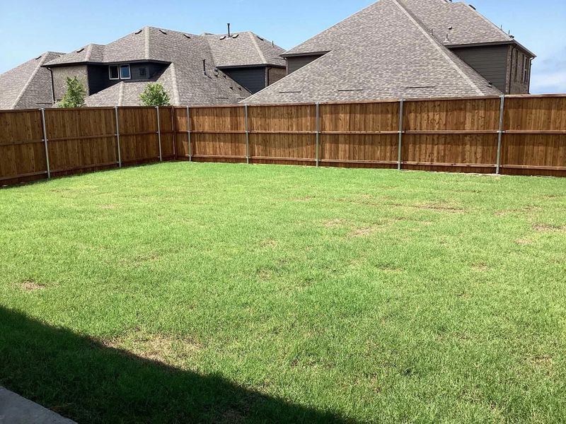 Backyard Construction Progress