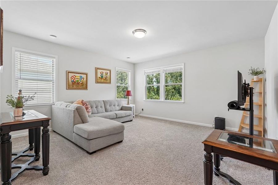 Furnished interior view inside a new home in Haley Station, Canton (Image 37).